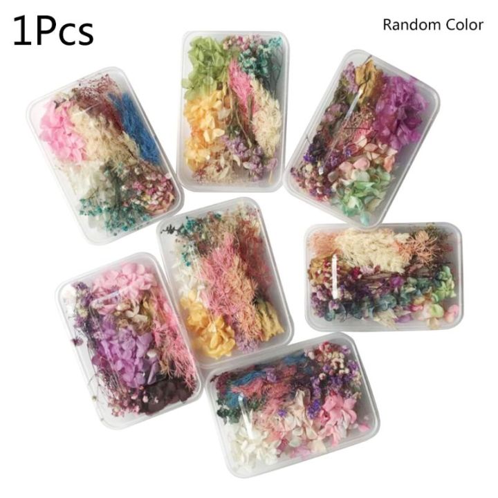 1 Box Real Mix Dried Flowers for Resin Jewellery Dry Plants Pressed