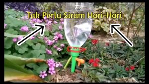 GARDEN PLANT FLOWER DRIPPER WATERING AUTOMATIC SUPPLY/PENGALIRAN