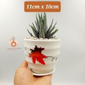 Chậu sứ tráng men size nhỏ KÈM DĨA miệng chậu 9-11cm chiều cao 9-11cm