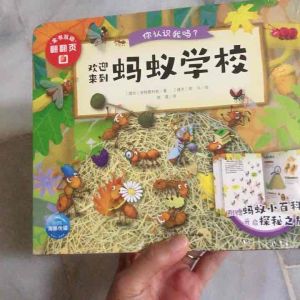 Ready Stock‼️你认识我吗？培养宝宝想象力，动手能力/蜜蜂家族、蚂蚁学校、树洞的奥秘、地下的秘密、昆虫小百科集启蒙、百科、故事于一体的多功能，绘本立体翻翻书