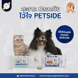 PETSIDE Ear Wipes แผ่นเปียกเช็ดหูสัตว์เลี้ยง แผ่นเช็ดสัตว์เลี้ยง แผ่นเช็ดทำความสะอาดสัตว์ 1 กระปุก 100 แผ่น