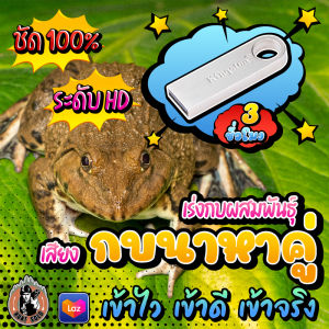 เสียงกบนาหาคู่ เร่งให้กบผสมพันธุ์ ได้ผลจริง แฟลชไดร์ฟเสียงกบนาหาคู่ ชัด เสียงใส ไม่มีโฆษณาแทรก พร้อมส่ง! มีเก็บเงินปลายทาง