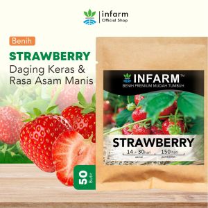 Benih Buah Buahan Komplit Bibit Tanaman Buah Strawberi Benih Buah Strawbery Tanaman Buah