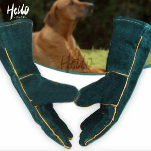 Pet Gloves Pet Training Processing Gloves Leather Anti-Scratch Animal Anti-Bite Protective Gloves Suitable for Welding Treatment Whole Hand Heat Insulation Fire Resistant Snake Dog Cat Bird Snake Parrot Lizard (Green)
