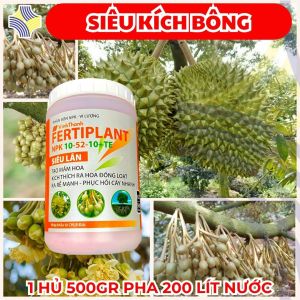 PHÂN BÓN SIÊU LÂN FERTIPLANT 10-52-10+TE – CHUYÊN DÙNG CHO CÂY SẦU RIÊNG KÍCH MẦM HOA – RA HOA ĐỒNG LOẠT – RỄ KHỎE MẠNH – PHỤC HỒI NHANH – NHẬP KHẨU TỪ ĐỨC - HỦ 500GR