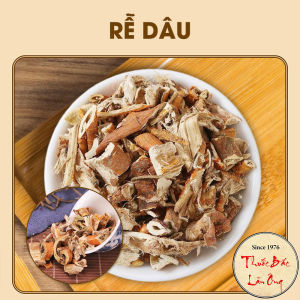 100g Tang Bạch Bì (Rễ Dâu Tằm)