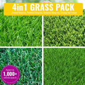 Grass Seeds Collection - Ground Cover Seeds - Grass Seeds Mix Drought Resistant Bermuda Grass Red Fescue Ryegrass Bluegrass Clover Buckwheat Seeds