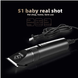 Electric Dog Hair Trimmer & Grooming Tools: A Comprehensive Guide