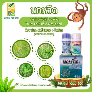 นกหวีด ขนาด (นกหวีด 250 ซีซี + ลาแตร์ 250 ซีซี) บิส ไพริแบก-โซเดียม 10% W/V SC กำจัดหญ้าข้าวนก ผักปอดนา เทียนนา กกขนาก