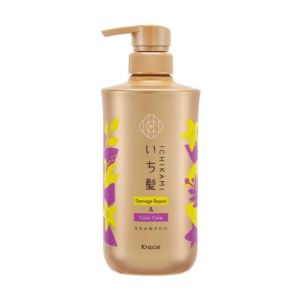 [Renewal] Ichikami Color Care & Base Treatment in Shampoo Pump 480ml 23314