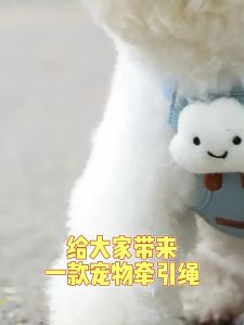 2026 Hot Sale [ Shipped from China ] Pet vest with leash cartoon 3D accessories for dogs Teddy dog walking leash anti-escape chest harness for cats when out B3