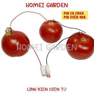 Bộ Thí Nghiệm Khoa Học Máy Phát Điện Từ Pin Trái Cây Sáng Tạo Cho Bé Nghiên Cứu Khoa Học Stem Steam - HM0309