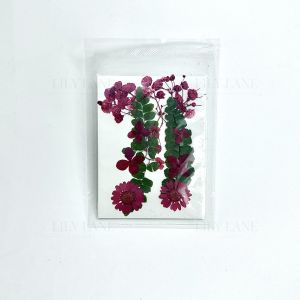พร้อมส่ง เซ็ตดอกไม้ทับแห้งรวม ขนาดSและL ดอกไม้จริง (Preserved Flowers)
