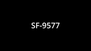 Sonifer Anti-Static Flat Iron Floating Ceramic Plates Digital Controls Hair Straightener hair iron