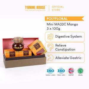 Yummi House Mini MA33C Mango Polyfloral Wild Honey (Digestion Constipation Gastric) - 3 x 100g
