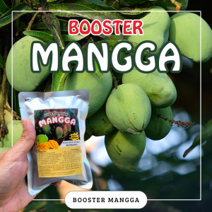 Booster Tanaman Mangga / Pupuk Booster Hayati Khusus Tanaman Mangga