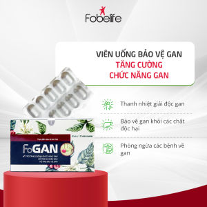 Viên Uống Cà Gai Leo FOGAN Fobe Giải Độc Gan Bảo Vệ Gan Tăng Cường Chức Năng Gan - Hộp / 20 viên - Vital Pharma