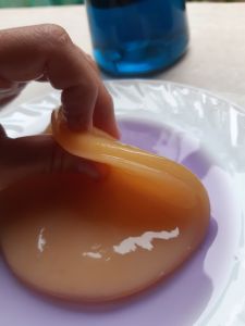 nấm nước kefir (water kefir) con nấm nước kefir men nấm nước kefir bơi lội kỳ thú