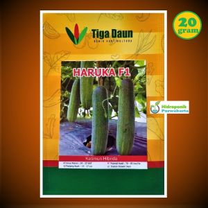 Benih Mentimun Timun Hibrida Haruka F1 Tipe Rujak Isi 20 Gram Cap Tiga Daun