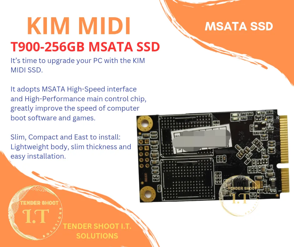 Brand New! Kim MiDi T900-256GB 256GB mSATA SSD Solid State