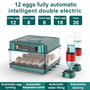 220V/12V DUAL POWER 130 Green Eggs Fully Automatic Digital Incubator Chicken Poultry Hatcher Temperature Control egg tray Incubator egg incubator Duck Goose Quail Birds Brooder Digital Humidity Temperature Control Hatching machine incubator