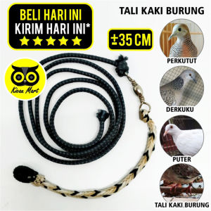 Kicau Mart Tali Kaki Burung Tekukur Tali Paut Tali Perkutut Derkuku Puter Tekukur Ikat Ikaki Training Latih Perkutut TLPKSM