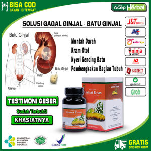 Obat Infeksi Saluran Kemih Wanita Pria Obat Pelancar Kencing Obat Sakit Kencing Batu Ginjal Obat Batu Ginjal Obat Infeksi Kandung Kemih Obat Sakit Perut Sebelah kanan Bawah GAMAT EMAS KAPSUL