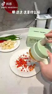 SS2287 电动手持料理锤 ready stock