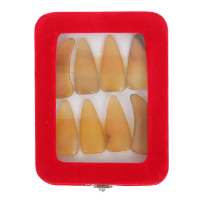 【Exclusive Online Deals】 Nail Protector Guzheng Nails Finger Picks Fingertip Protection Child