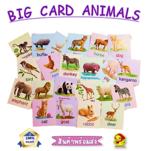 Flash card สัตว์ป่ามหาสนุก แฟลชการ์ดสิ่งของ ของใช้ Flash Card Animal things การ์ดคำศัพท์พื้นฐาน บัตรคำ เสริมพัฒนาการ flashcard สัตว์น่ารัก