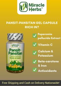 Pansit-Pansitan Gel Capsule – Natural Anti-Inflammatory | Supports Joint Health | Herbal Supplement