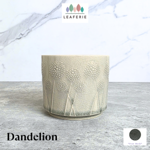 The Leaferie Dandelion plant pots. flowerpot . flowerpots . flower pot . planter . planters . Ceramic