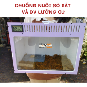 Chuồng nuôi bò sát rắn ếch pacman rùa ốc mượn hồn