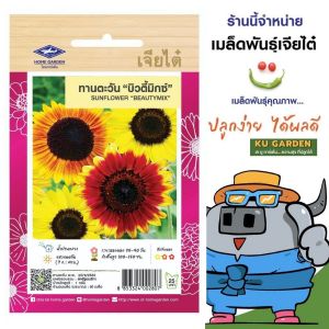 CHIATAI 🇹🇭 เมล็ดพันธุ์ดอกไม้ เจียไต๋ H003 # ทานตะวันบิวตี้ มิกซ์   เมล็ดพันธุ์ ดอกไม้ เมล็ดดอกไม้ ตราเครื่องบิน