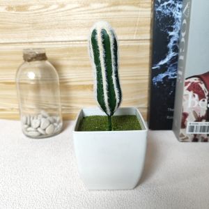 Azgalery PBP139 / Tanaman Hias Pot Bunga Kaktus Sukulen Mini Plastik Artificial Cactus Plant Ornamen Dekorasi Pajangan Ruangan Meja Rumah Minimalis Buatan / COD