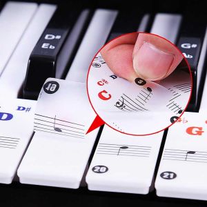 Amazthing 37/49/61/76/88 Keys Piano/Keyboards Removable Sticker for Beginner 钢琴键盘贴纸