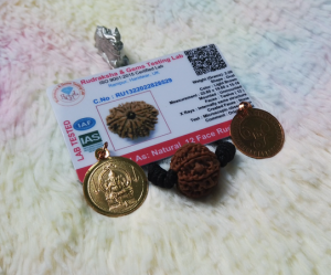 Original Rudraksha 12 Mukhi (12 Faces/12 Mugam) Rudraksha Bead with Lab Certificate