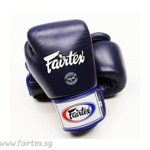 Fairtex BGV1 Muay Thai Boxing Gloves Blue
