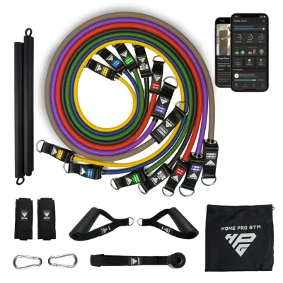 [SG STOCK] HomeProGym Premium Heavy Duty Resistance Bands with Steel Workout Bar (up to 205kg) - Portable Home Gym Kit