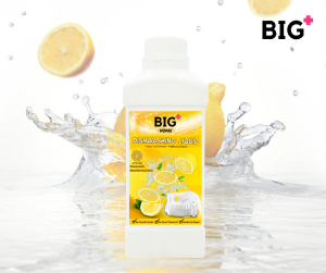 BIG+ Dishwashing Liquid 1000ml Concentrated pH Neutral Natural Plant Ingredients Biodegradable Non Toxic