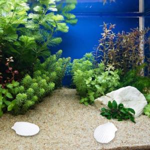 Nhỏ giọng trang trí điêu khắc cho kệ sách hoặc phòng khách