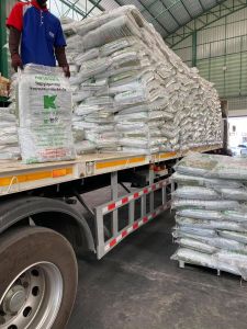 ดินเพาะคลาสแมน พีทมอสคลาสแมน 70 ลิตร 1กระสอบ น้ำเพื่อเพาะเมล็ด ผู้ที่มีความสนใจในการดูแลสุขภาพ สามารถนำไปใช้ได้ผ่านเยอรมันนี