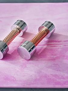 LZD  Goddess Dumbbell Exercise Equipment Office Home Fitness Dumbbell Adjustable Weight Dumbbell Pure Steel Stainless Steel Hand Bell