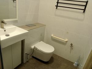 Pneumatic Concealed Cistern with Frame c/w Pneumatic Actuator Set (Standard - WAS788 #CG)    WY103 F + WAS788 #CG Pneumatic Cylinder Concealed Flask - Lazada