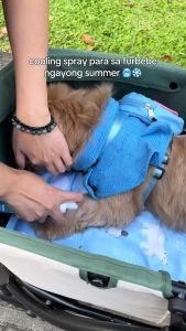 PETWELL Dog Cat Cooling Spray 120ML Mint Refreshing Summer Quick Cooling Spray Carry Pet Body Mist