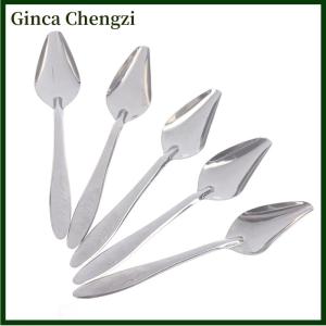 Ginca 5 chiếc thìa cho chim ăn mũi nhọn bằng thép không gỉ cho vẹt ăn sữa