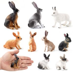 MAOMEI STUDIO Trang trại Hình hành động Vườn thú mô phỏng Quà tặng cho trẻ em cho trẻ em Đồ trang trí để bàn Mô hình con thỏ Tượng con vật Đồ chơi giáo dục Trang trí nhà cửa