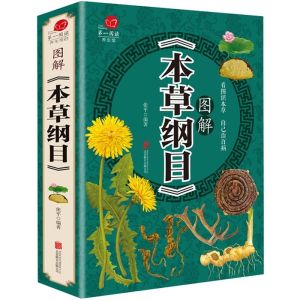 百病食疗大全 黄帝内经 本草纲目 正版 彩色图解 食物食材百科养生食疗 Chinese Food ingredients encyclopedia Health diet