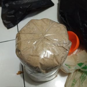 MURAH DAUN CEREMAI BUBUK/PHYLLANTHUS ACIDUS 500 GRAM