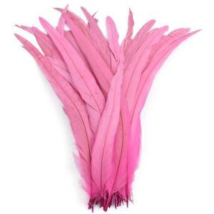WENKEN 20Pcs Lông vũ tự nhiên Lông đuôi gà trống Chiều dài 25-30cm Lông vũ trang trí Lông gà trống tự nhiên  Quill Công Ty Lông vũ trang phục Phụ Kiện Trang Phục